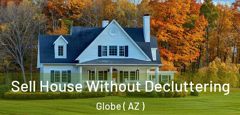  Sell House Without Decluttering Globe ( AZ )