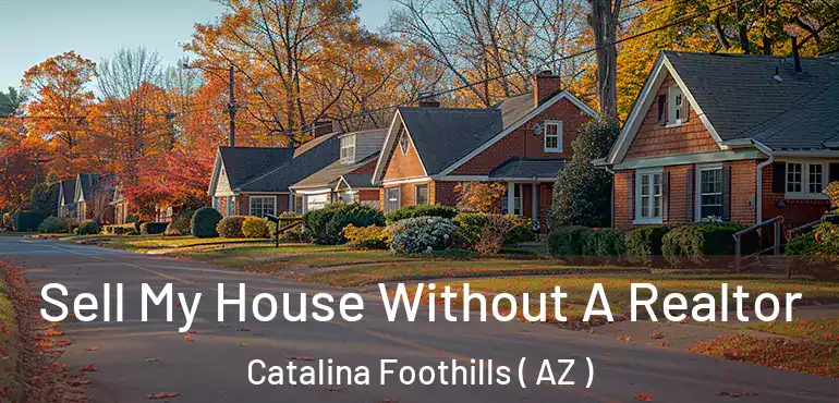  Sell My House Without A Realtor Catalina Foothills ( AZ )