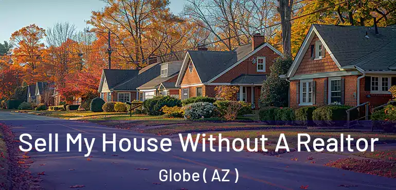  Sell My House Without A Realtor Globe ( AZ )